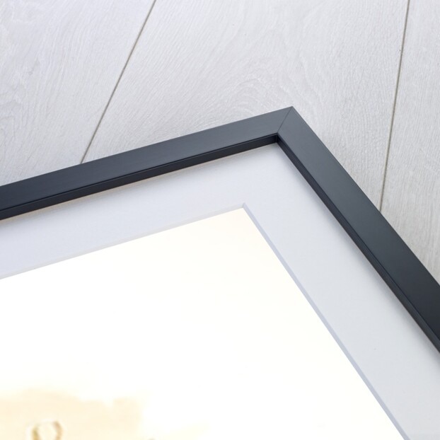 Angraecum humblotii by F. Sander