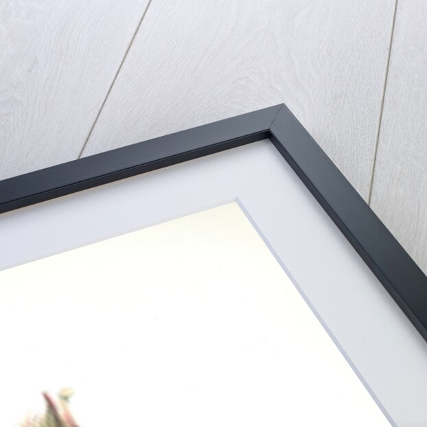 Cypripedium oenanthum superbum by F. Sander