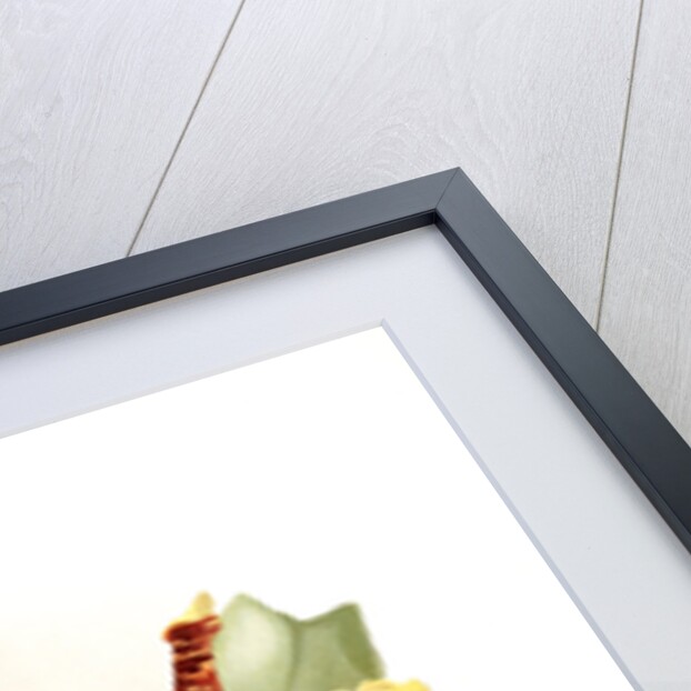 Odontoglossum grande by F. Sander