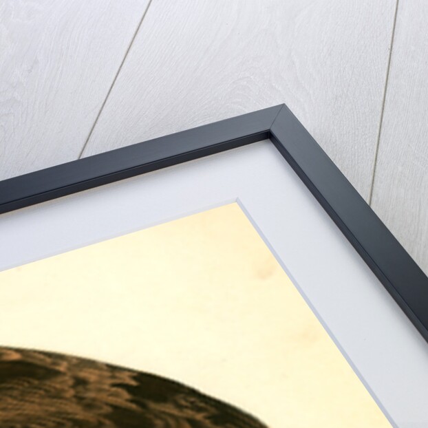 Golden Eagle by John James Audubon