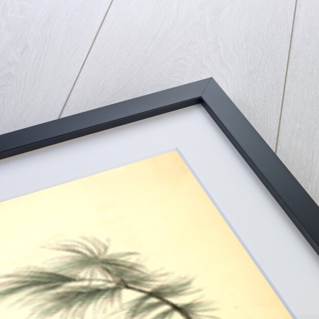 Little Screech Owl. (Jersey Pine. Pinus inops.) by John James Audubon