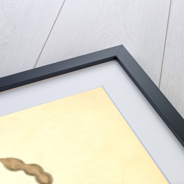 Hooded Flycatching Warbler by John James Audubon