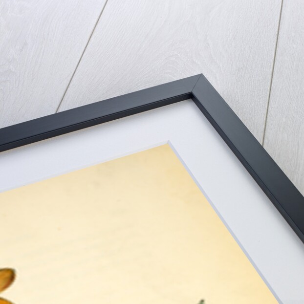 Swainson's Swamp-Warbler. Male. (Orange-coloured Azalea. Azalea caledulacea) by John James Audubon