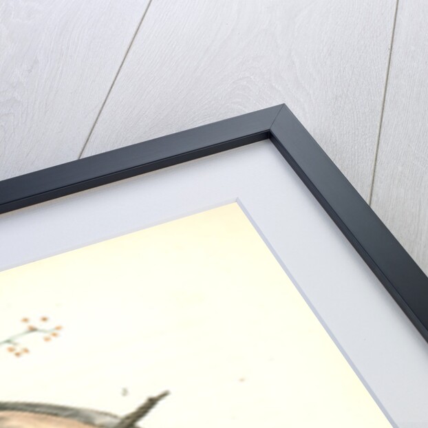 Carolina Titmouse by John James Audubon