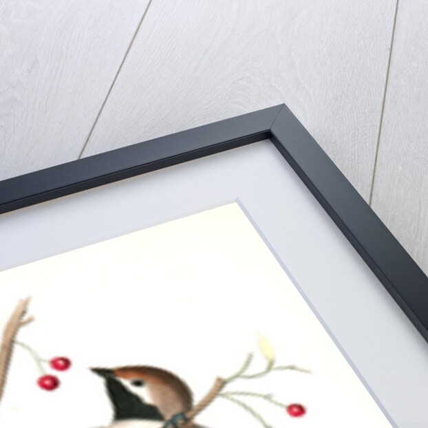 Hudson's Bay Titmouse by John James Audubon