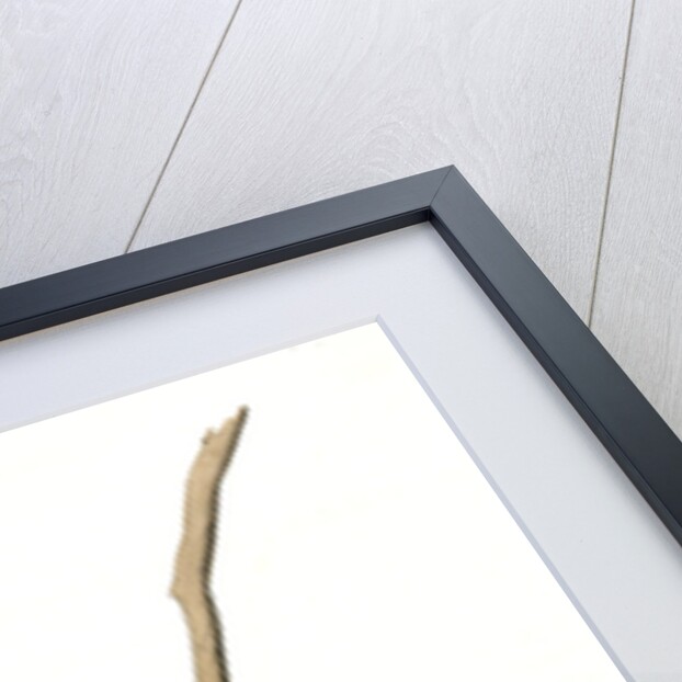 Chesnut-backed Titmouse by John James Audubon