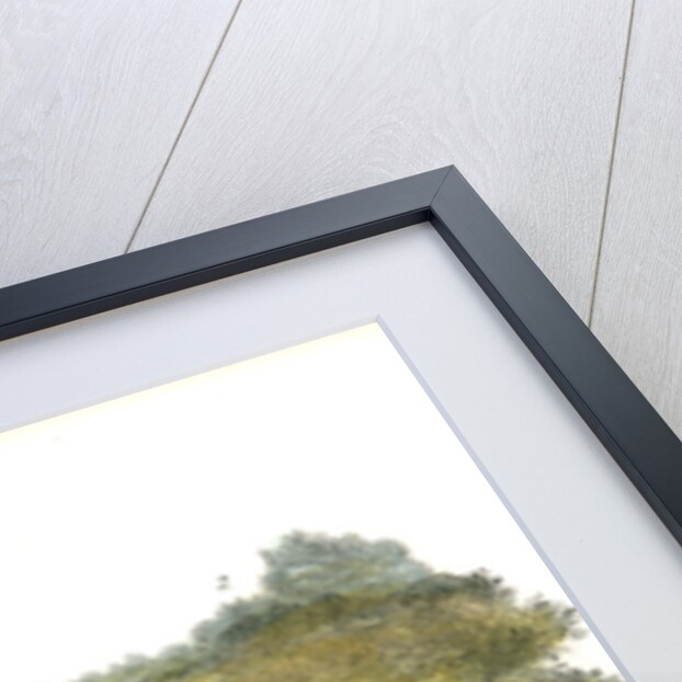 Shore Lark by John James Audubon