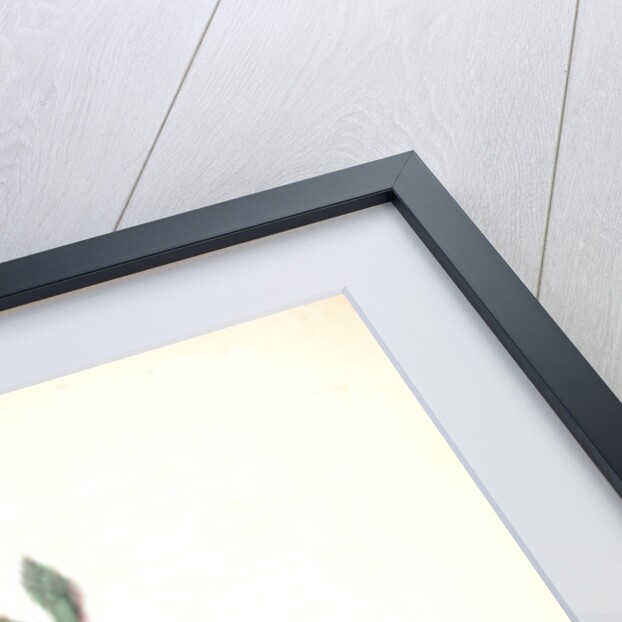 Bay-winged Bunting. Male. (Prickly Pear. Cactus Opuntia.) by John James Audubon