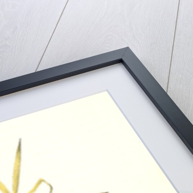 Brown Finch. Female by John James Audubon