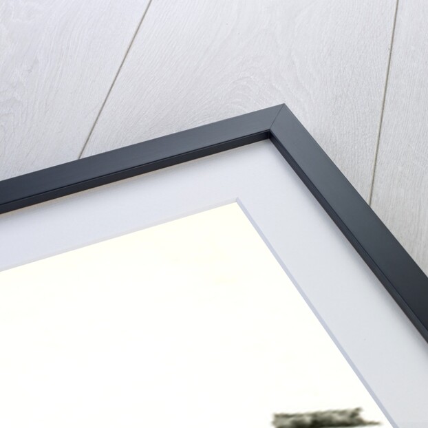 Song Finch by John James Audubon