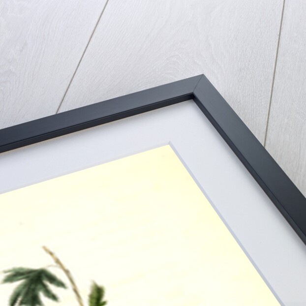 Great American Shrike by John James Audubon