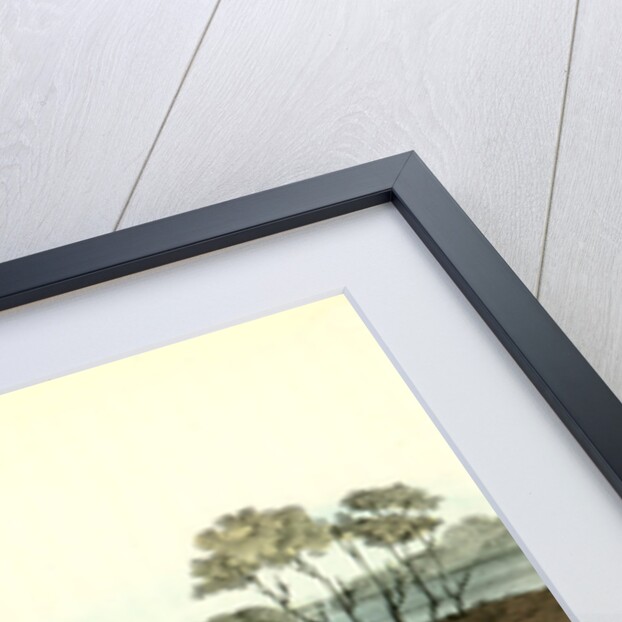 Yellow-breasted Rail. Adult Male in Spring by John James Audubon