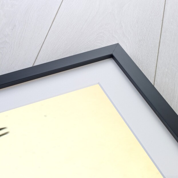 Wooping Crane. Young by John James Audubon