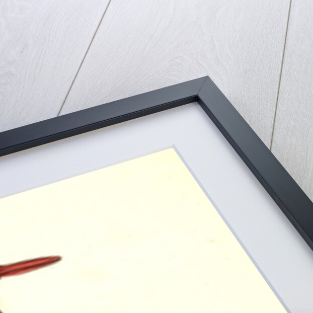 Townsend's Oyster-catcher. Female by John James Audubon