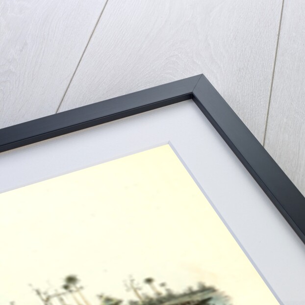 Tell-tale Goswit or Snipe by John James Audubon