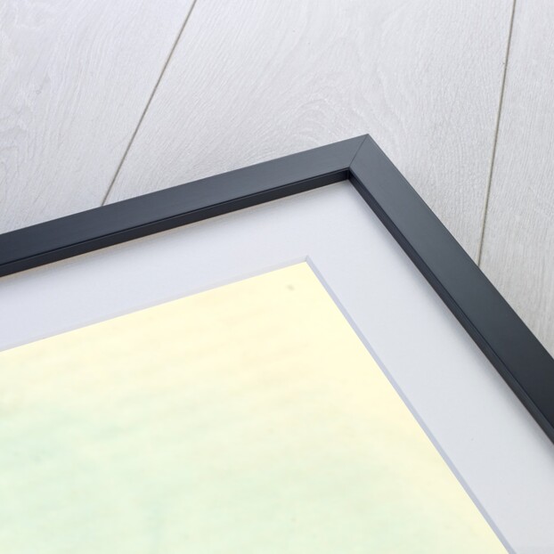 Gull-billed Tern. Marsh Tern. Male by John James Audubon