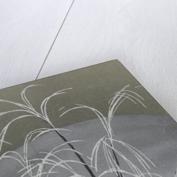 Momoyogusa Flowers of a Hundred Generations by Sekka Kamisaka