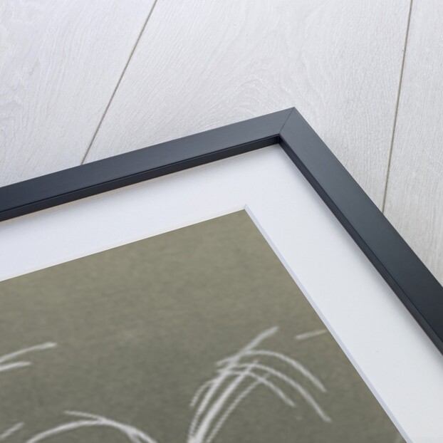 Momoyogusa Flowers of a Hundred Generations by Sekka Kamisaka