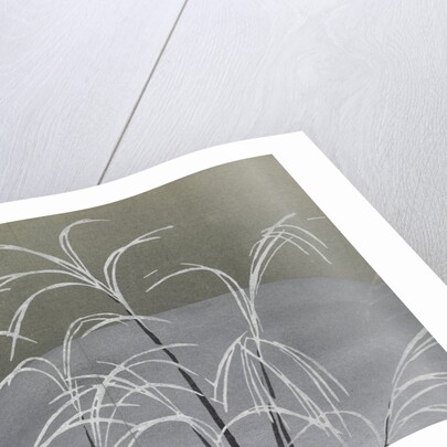 Momoyogusa Flowers of a Hundred Generations by Sekka Kamisaka