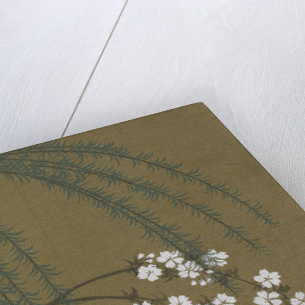 Momoyogusa Flowers of a Hundred Generations by Sekka Kamisaka