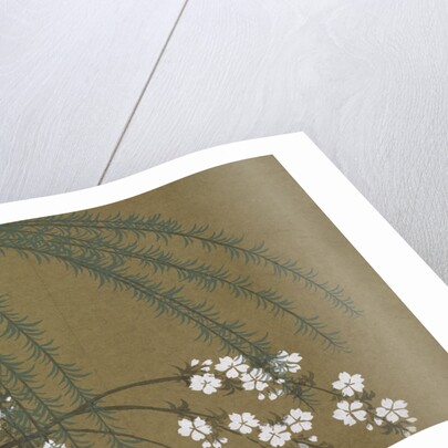 Momoyogusa Flowers of a Hundred Generations by Sekka Kamisaka