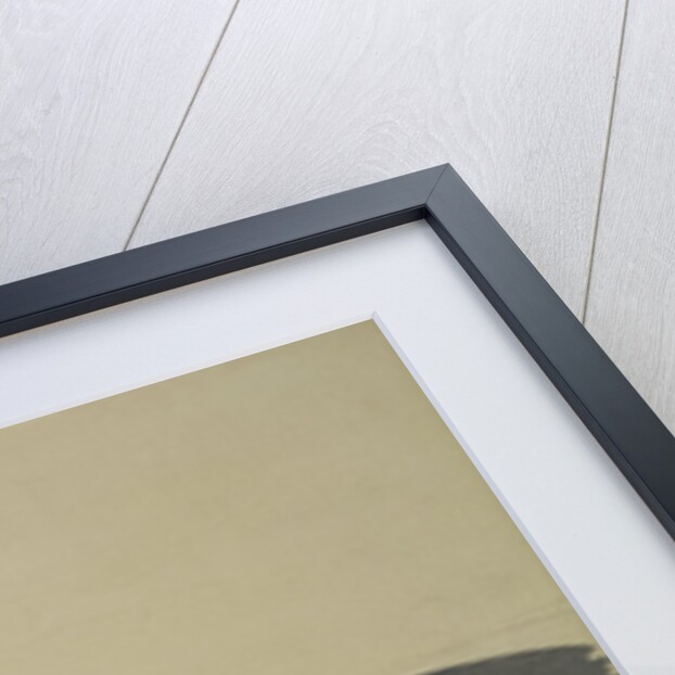 Momoyogusa Flowers of a Hundred Generations by Sekka Kamisaka