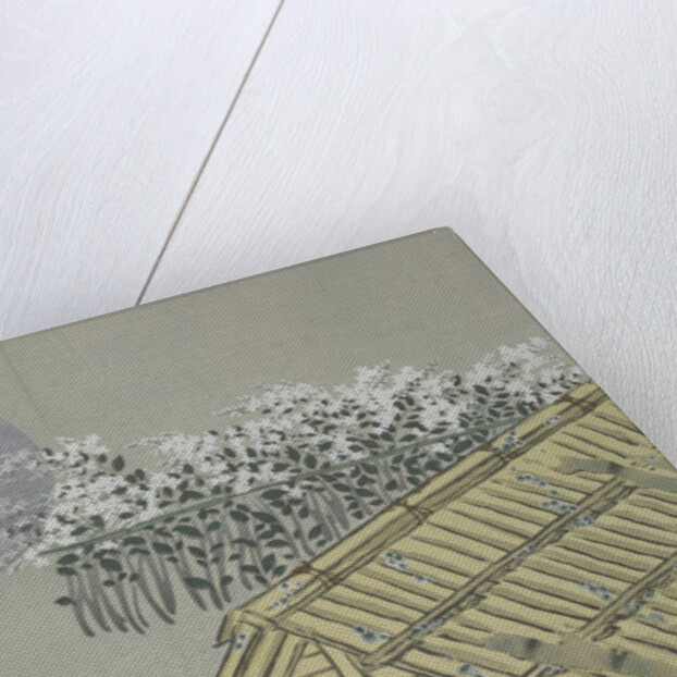 Momoyogusa Flowers of a Hundred Generations by Sekka Kamisaka