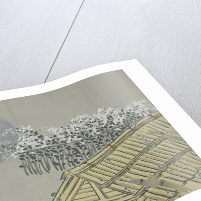 Momoyogusa Flowers of a Hundred Generations by Sekka Kamisaka