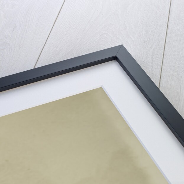 Momoyogusa Flowers of a Hundred Generations by Sekka Kamisaka