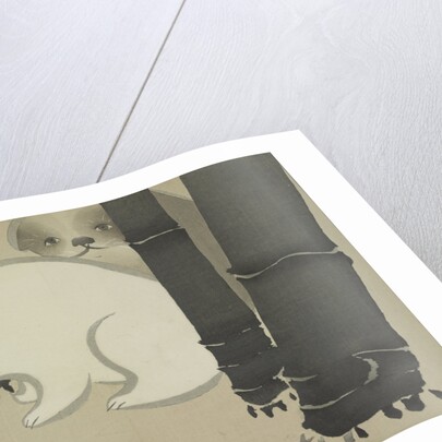 Momoyogusa Flowers of a Hundred Generations by Sekka Kamisaka