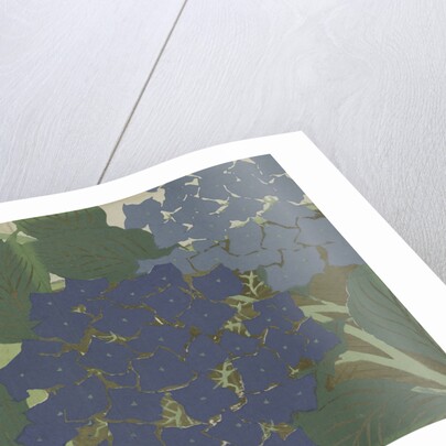 Momoyogusa Flowers of a Hundred Generations by Sekka Kamisaka