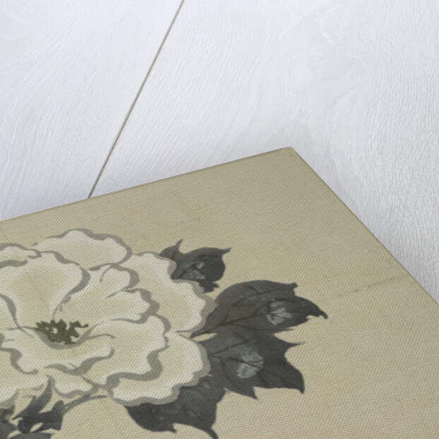 Momoyogusa Flowers of a Hundred Generations by Sekka Kamisaka