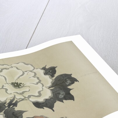 Momoyogusa Flowers of a Hundred Generations by Sekka Kamisaka