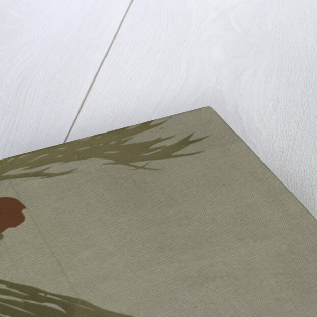 Momoyogusa Flowers of a Hundred Generations by Sekka Kamisaka