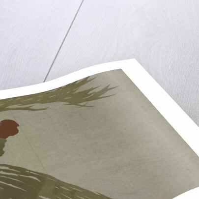 Momoyogusa Flowers of a Hundred Generations by Sekka Kamisaka