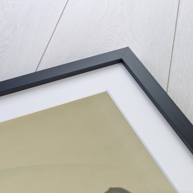 Village with Cherry Blossoms by Sekka Kamisaka