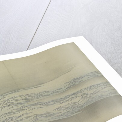 Momoyogusa Flowers of a Hundred Generations by Sekka Kamisaka