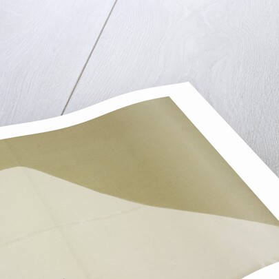 Momoyogusa Flowers of a Hundred Generations by Sekka Kamisaka