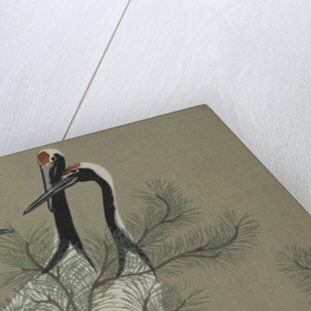 Momoyogusa Flowers of a Hundred Generations by Sekka Kamisaka