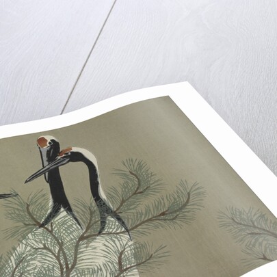 Momoyogusa Flowers of a Hundred Generations by Sekka Kamisaka