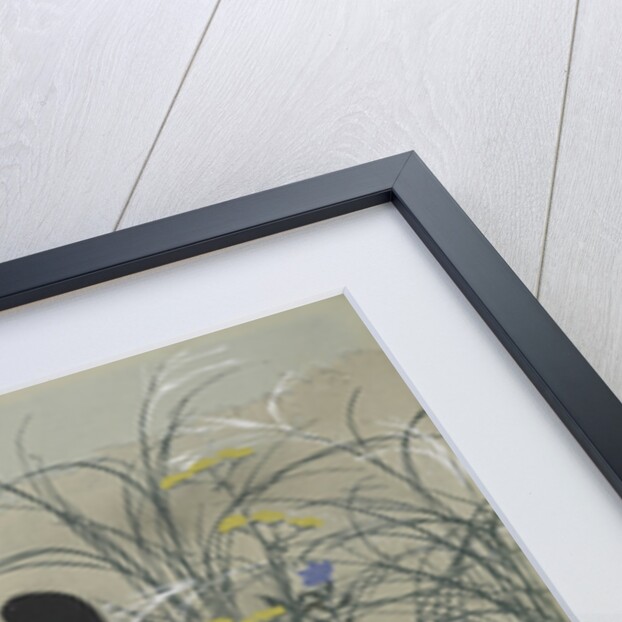 Momoyogusa Flowers of a Hundred Generations by Sekka Kamisaka