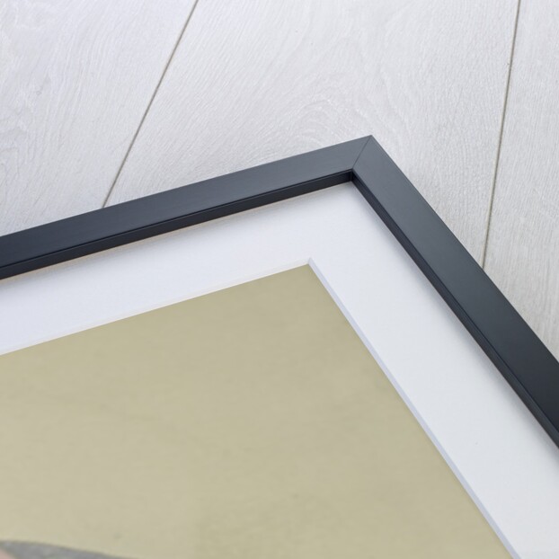 Girl in Fan by Sekka Kamisaka