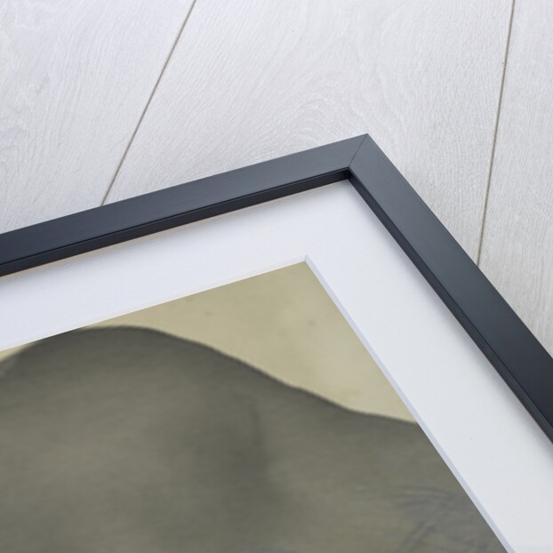 Village House by Sekka Kamisaka