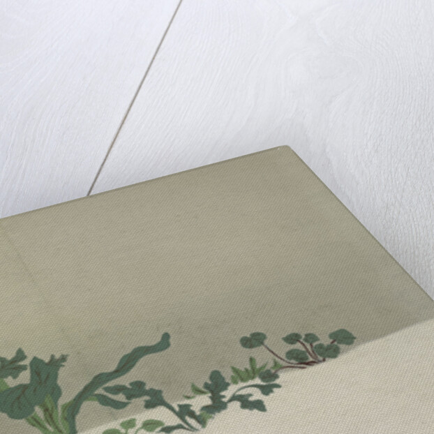 Green Plants by Sekka Kamisaka