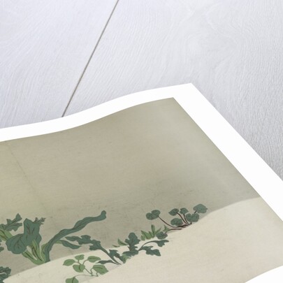 Green Plants by Sekka Kamisaka