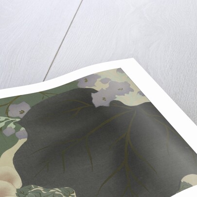 Flowers and leaves by Sekka Kamisaka