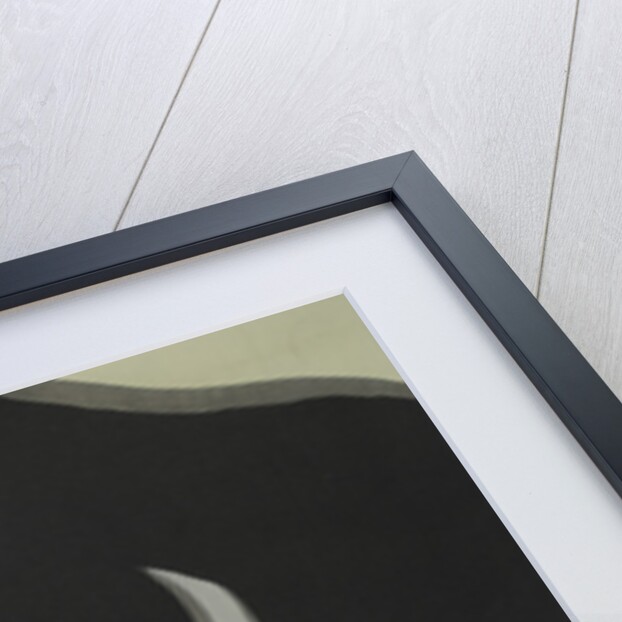 Momoyogusa Flowers of a Hundred Generations by Sekka Kamisaka