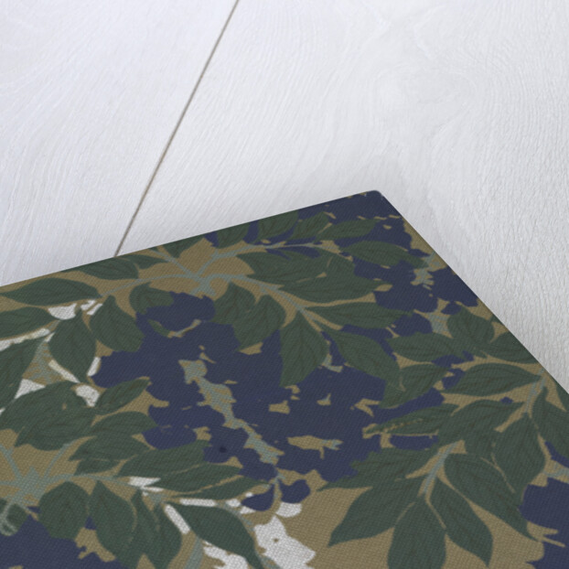 Momoyogusa Flowers of a Hundred Generations by Sekka Kamisaka