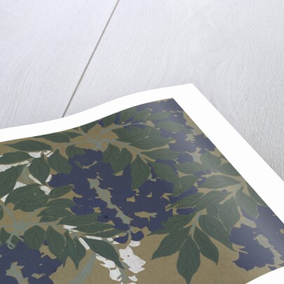 Momoyogusa Flowers of a Hundred Generations by Sekka Kamisaka