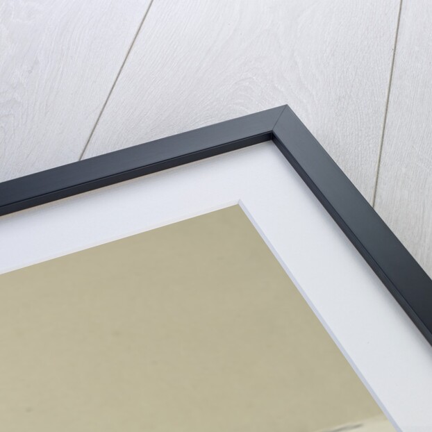 Momoyogusa Flowers of a Hundred Generations by Sekka Kamisaka